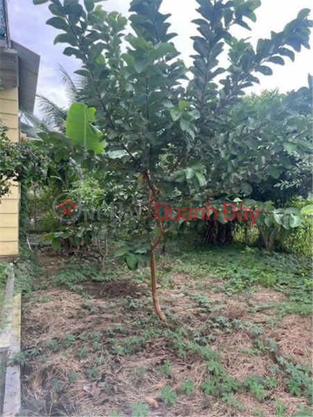 đ 7.6 Billion BEAUTIFUL LOCATION - Owner Urgently Sells Garden House in Dien Lam, Dien Khanh, Khanh Hoa