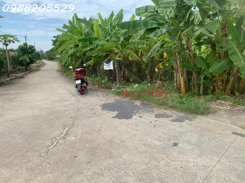 Beautiful land for sale by owner (fully residential land) - Ben Luc - area 9x25=224.6m2 - 5m concrete frontage., Vietnam | Sales, đ 1.15 Billion