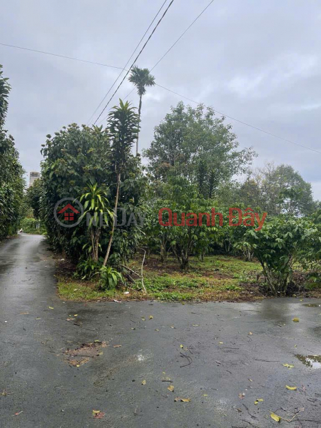 OWNER'S LAND - NEED TO SELL A FRONTAGE LOT OF LAND AT Nguyen Huy Tuong Street, Loc Nga Commune, Bao Loc City, Lam Dong, Vietnam Sales, đ 7 Billion