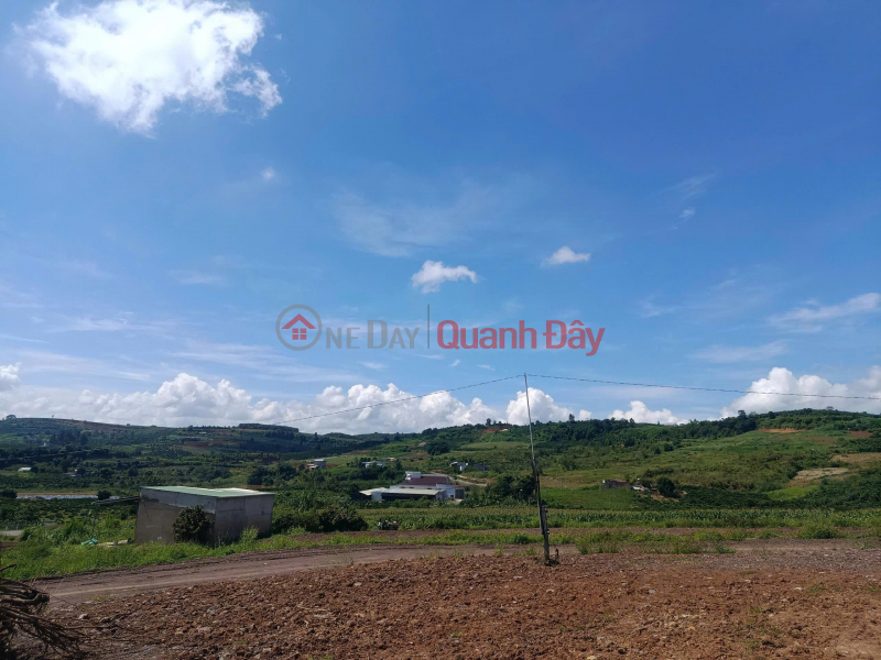Property Search Vietnam | OneDay | Nhà ở, Niêm yết bán, BÁN 1000m² ĐẤT ĐẸP – GIÁ 630 TRIỆU - Vị trí: Tân Hà, Lâm Hà, Lâm Đồng