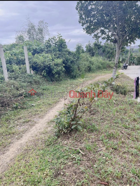 Owner Needs To Sell Land Plot - Preferential Price - In Hoa Ninh Commune, Hoa Vang District, Da Nang _0