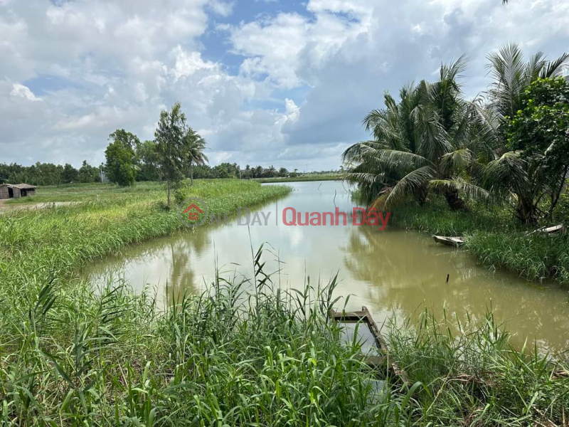 OWNERS NEED TO SELL QUICK Beautiful Lot - Great Potential In An Hoa, My An, Thanh Phu, Ben Tre Vietnam Sales | ₫ 4 Billion