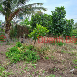 Land for sale in Phuoc Hau commune, Long Ho district, Vinh Long province. _0