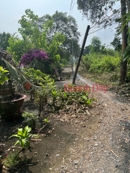₫ 2.2 Billion, ️ Fragrant goods, only 2 lots left *** at Luong Hoa Ben Luc - Long An, right at Gia Mouth bridge entering