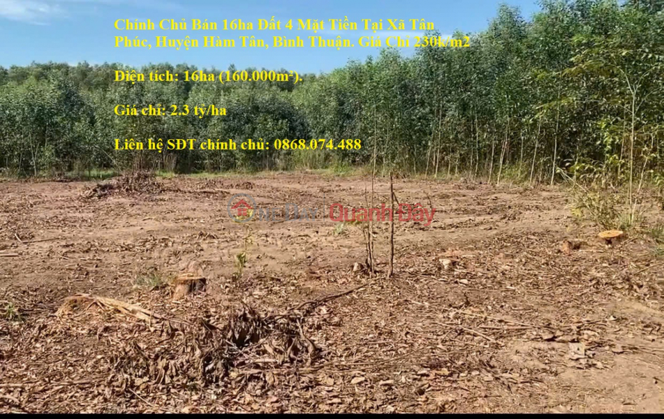 Owner Sells 16ha of Land with 4 Frontages in Tan Phuc Commune, Ham Tan District, Binh Thuan. Price Only 230k\\/m2 Sales Listings