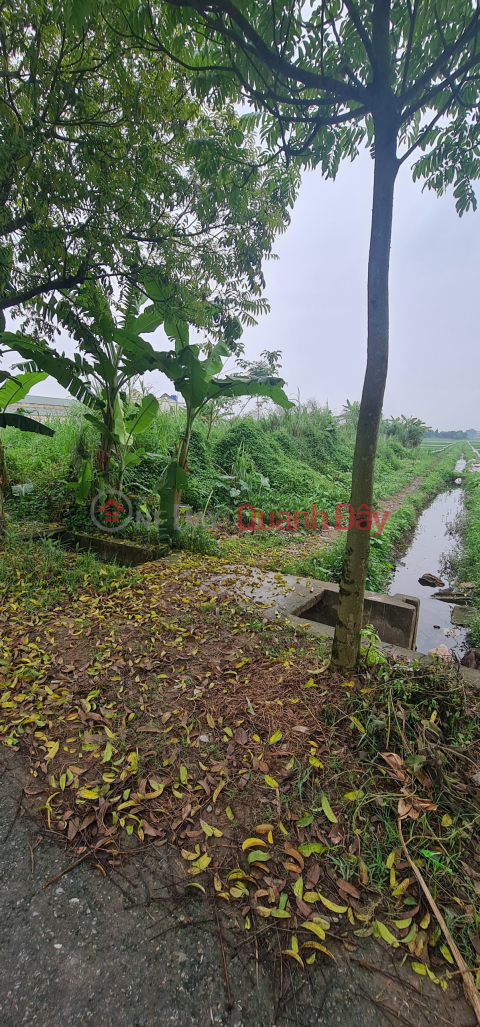 Selling 3150m2 of Land 47m Vu Chinh Commune, Thai Binh City _0