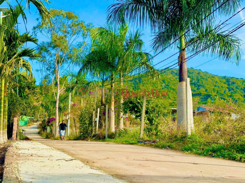 725TR - Anticipating the highway interchange - Residential land near Da Lat is now only a matter of days away. Vietnam Sales đ 725 Million