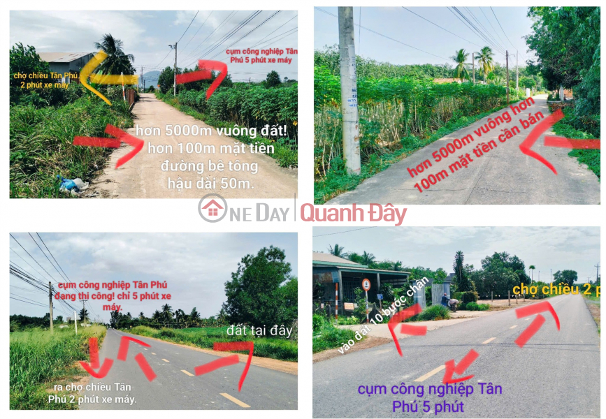 Property Search Vietnam | OneDay | Residential Sales Listings, OWNER'S LAND - STREET FRONTAGE - Tan Xuan Hamlet, Tan Phu Commune, Tan Chau District, Tay Ninh