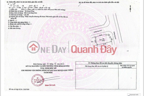 Land for sale in Dinh Hiep, Dau Tieng, Binh Duong, good price, 4.7 million VND\/m2, 294 m2 _0