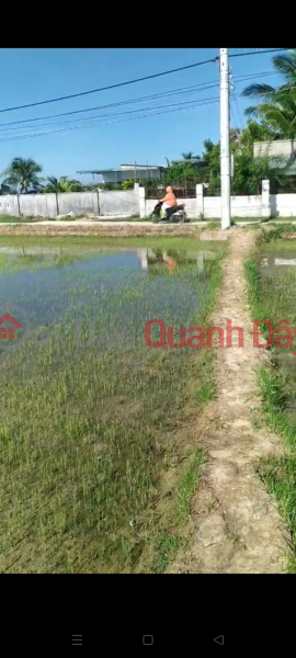 Property Search Vietnam | OneDay | Nhà ở Niêm yết bán | ĐẤT ĐẸP –GIA ĐÌNH CẦN BÁN NHANH LÔ ĐẤT ĐẸP TẠI TT Phước Dân, Huyện Ninh Phước, Tỉnh Ninh Thuận