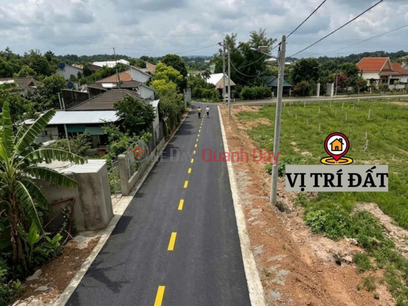 OWN LAND RIGHT NEXT TO THE MARKET, SCHOOL, AND PEOPLE'S COMMITTEE OF MINH THANH COMMUNE, DAU TIENG DISTRICT, BINH DUONG PROVINCE Sales Listings