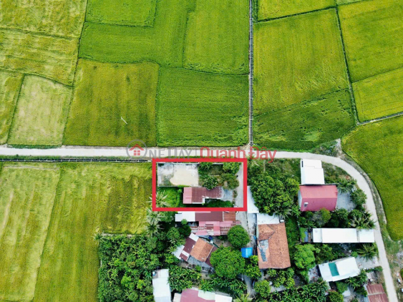 Selling super product with beautiful rice field view in Dien Lac, right in the administrative center of Dien Khanh., Vietnam Sales, đ 4 Billion