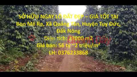 OWN A BEAUTIFUL LOT OF LAND NOW - GOOD PRICE IN Quang Tan Commune, Tuy Duc District, Dak Nong _0