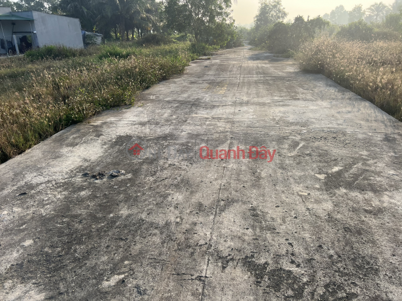 Property Search Vietnam | OneDay | Residential, Rental Listings | Land for sale in Ninh An Ninh Hoa Nam Van Style on National Road 1A only 30m price 450 million