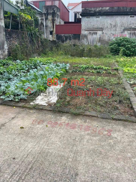 Bám Trục CIENCO5- Chính chủ gửi bán đất tại Trung Lập, Tri Trung, huyện Phú Xuyên, TP. Hà Nội Việt Nam, Bán đ 3,5 tỷ