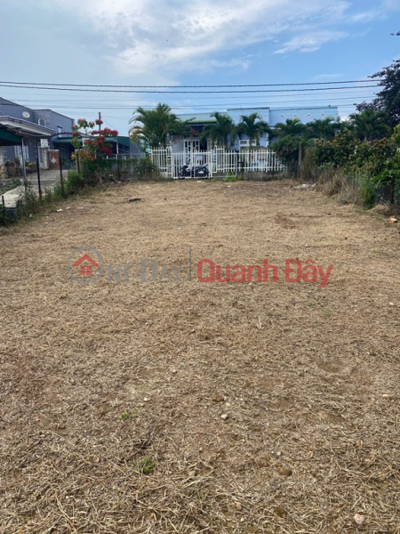 đ 2 Billion | Owner Needs to Sell a Land Lot in a Prime Location in Ninh Gia Commune, Duc Trong, Lam Dong