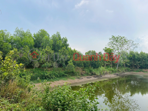 Owner selling 20,000m2 of land in Bau Lam Commune, Xuyen Moc District, Ba Ria Vung Tau Province. _0