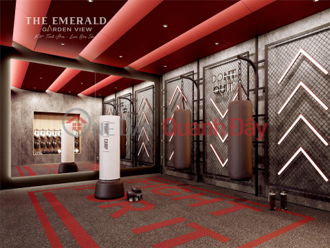 The Emerald Garden View chỉ 9 triệu tháng sở hữu ngay 54m2 view Lemax 81duy nhất. _0