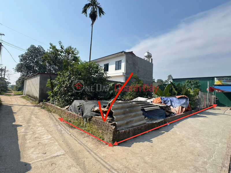 Bán gấp đất vàng Kim Hoa, Mê Linh. Lô góc, nằm sát đường Vành Đai 4, đường rộng, oto đỗ, Việt Nam, Bán | đ 3,75 tỷ