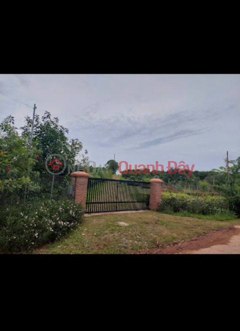 ĐẤT KHU NGHỈ DƯỠNG RETREAT LAKESIDE - Giáp Hồ Trị An, Xã La Ngà, Huyện Định Quán, Đồng Nai _0