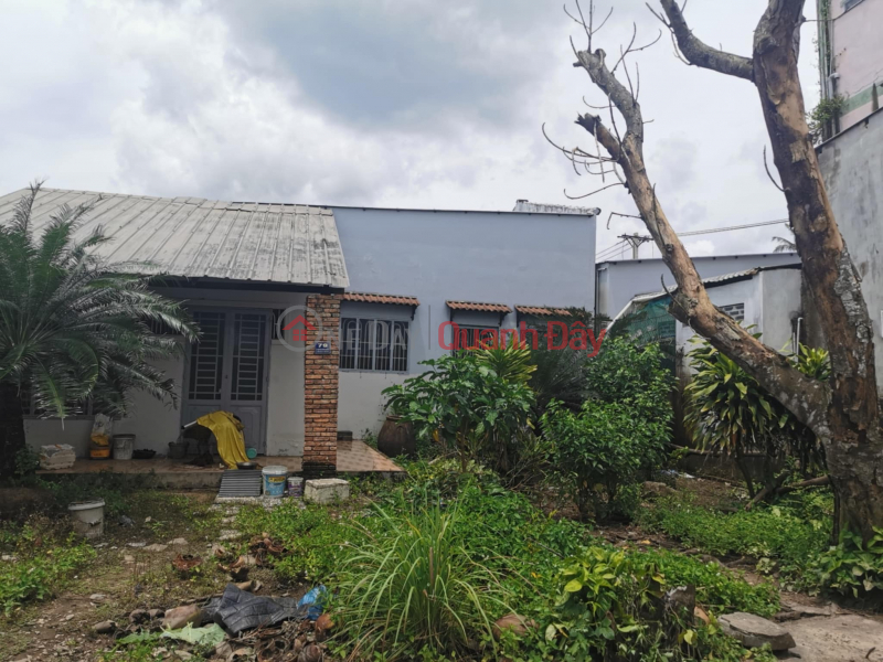 NHÀ CHÍNH CHỦ - GIÁ TỐT - Bán Nhà Mặt Tiền Đường Nguyễn Minh Quang, Phường Ngã Bảy, Hậu Giang Niêm yết bán