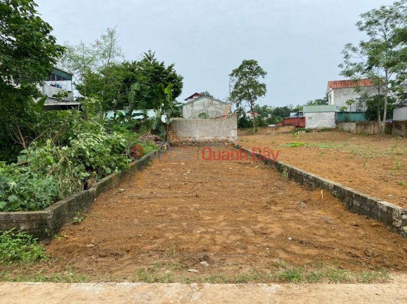 BEAUTIFUL LAND - GOOD PRICE - For Quick Sale Land Lot Prime Location In Binh Yen Commune, Thach That, Hanoi Vietnam Sales | đ 2.8 Billion