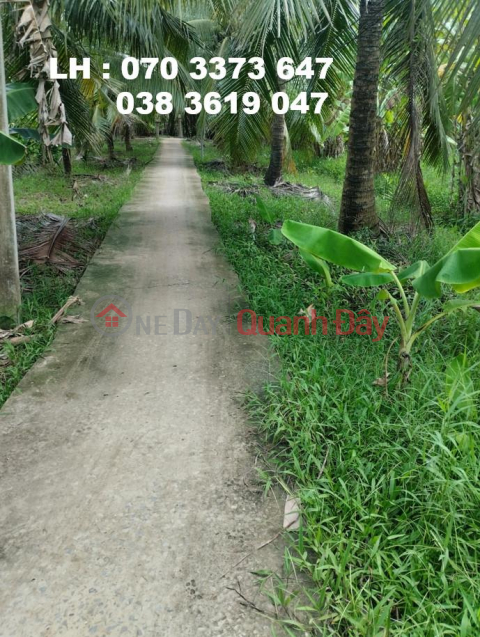 Owner Sells Beautiful Land Lot in Thoi Lai Commune, Binh Dai District, Ben Tre - Investment Price _0