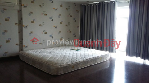 Apartment for rent in Phu Hoang Anh, Loft view, Phu My Hung, cheap price _0