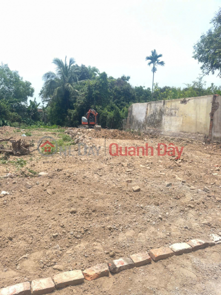 Property Search Vietnam | OneDay | Residential, Sales Listings, Rare! Beautiful land 120m2 residential land - Good price in Yen Thang commune - Y Yen - Nam Dinh