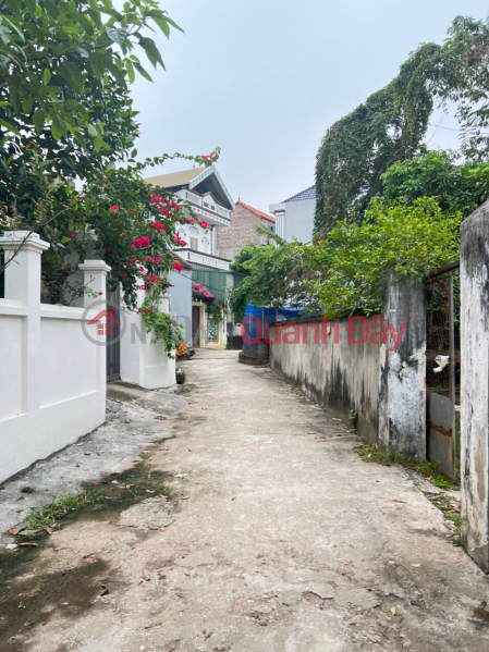 42m2 of land in Phuong Dong, Phung Chau, 100m from bus, price slightly 800 million | Vietnam, Sales, ₫ 890 Million