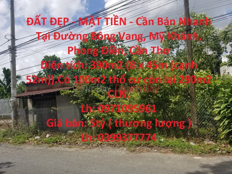 BEAUTIFUL LAND - CASH - Quick Sale At Bong Vang Street, My Khanh, Phong Dien, Can Tho Sales Listings