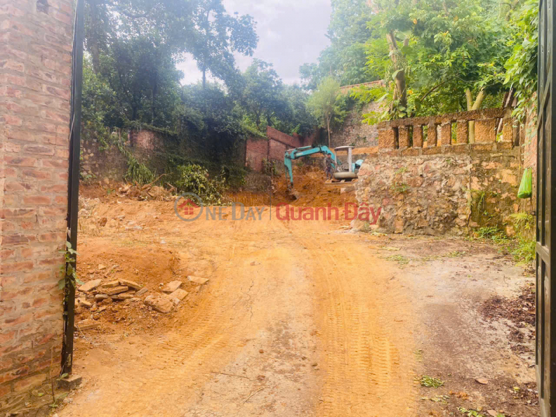 Property Search Vietnam | OneDay | Residential | Sales Listings OWNER NEEDS TO SELL 469.9M2 LAND LOT IN TIEN PHUONG-CHUONG MY-HANOI