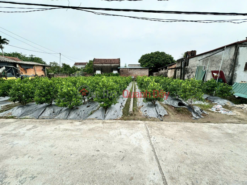 Land for sale in Duc Nhuan Da Trach, area 125m, frontage 5.5m, expanding to the back, investment price Sales Listings