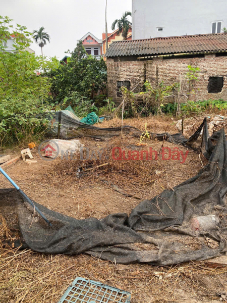 Bán 50m đất Tráng Việt, Mê Linh, HN. Đường thông, oto đỗ đất. Gần dự án cầu Thượng Cát Niêm yết bán