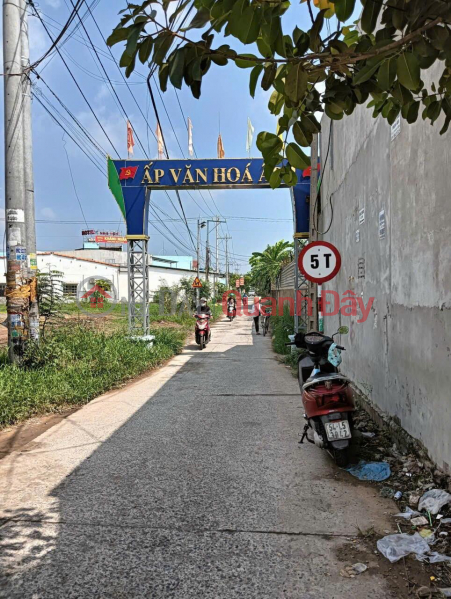 Owner Needs to Sell a Beautiful Land Plot in Huu Thanh Commune, Duc Hoa, Long An, Vietnam | Sales đ 3.5 Billion