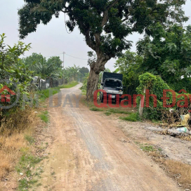 Bán đất nông nghiệp - Đất bãi trục chính tổ 14 Yên Nghĩa, Hà Đông _0