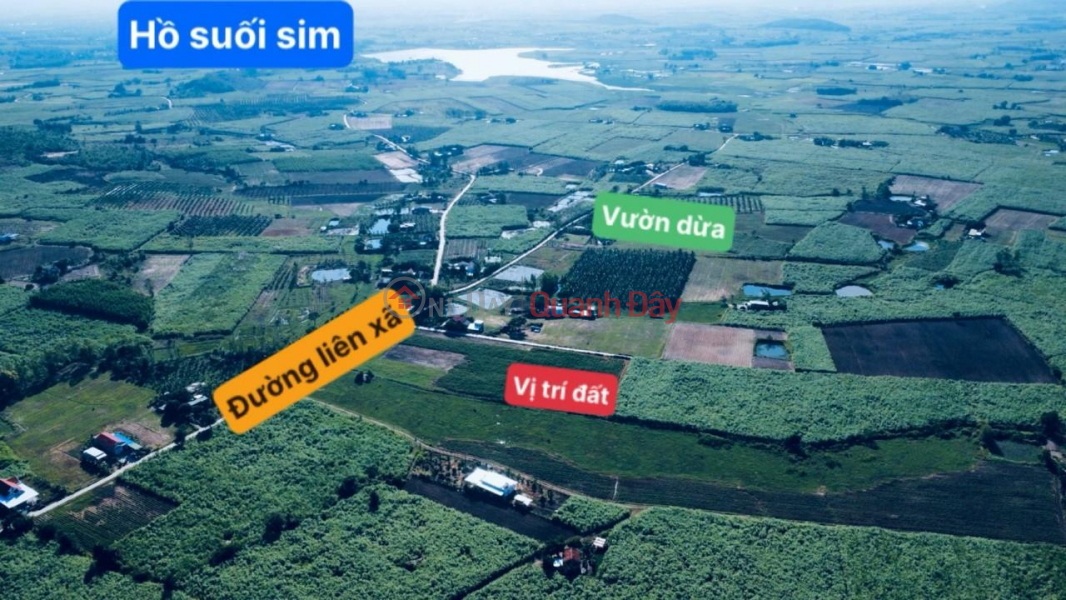 OPENING SPRING OPENING FOR SALE OF LAND LOT AT Village 1, Ninh Thuong Commune, Ninh Hoa Town, Khanh Hoa | Vietnam | Sales | đ 199 Million