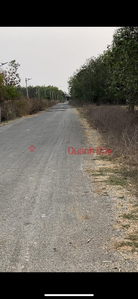 BEAUTIFUL LAND - GOOD PRICE - Land Lot For Sale In Xuyen Moc Commune, Xuyen Moc Dist., Ba Ria - Vung Tau _0