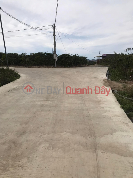 Property Search Vietnam | OneDay | Residential, Sales Listings, Land for sale in Ninh Gia, Duc Trong, Lam Dong, 1.3ha, price 14 ty