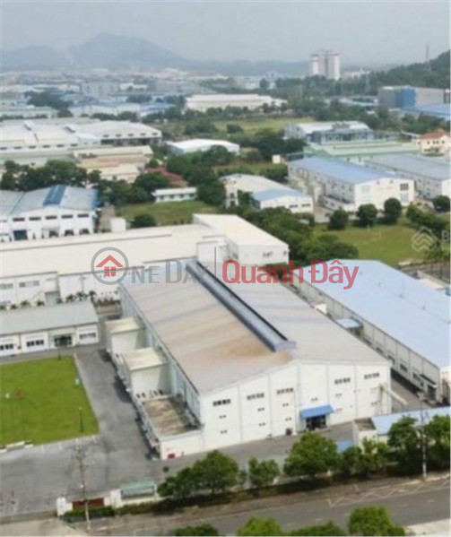 Selling 2500 Industrial Park factory land, separate book, Quat Dong Thuong Tin near Thanh Tri Hanoi, price 2x billion, x small Sales Listings