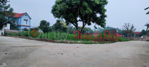 BEAUTIFUL LAND – EXTREMELY COMFORTABLE PRICE – In Vu Ban Village, Minh Tri Commune, Soc Son District, Hanoi _0