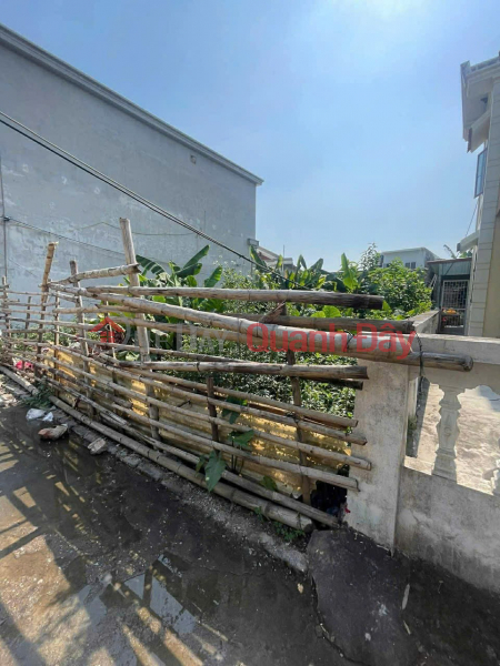 Property Search Vietnam | OneDay | Nhà ở, Niêm yết bán | Trung tâm Núi Đối – 98.5m² giá rẻ 1x triệu/m² ZALO 0567 222 555