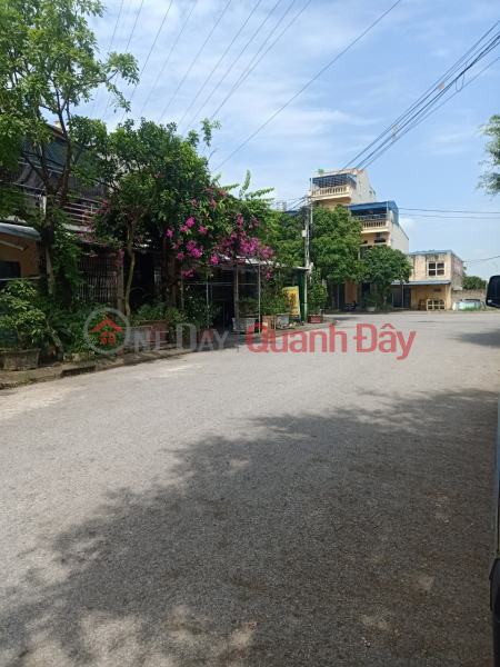 Property Search Vietnam | OneDay | Residential | Sales Listings, Land for sale at Thuong Phuc market gate, Thuy Son, near industrial park. Suitable for business investment, Area 100m2