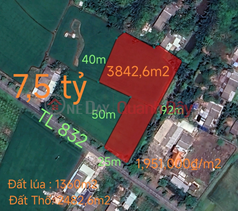 Selling rice land plot fronting provincial road 832 for 7.5 billion _0