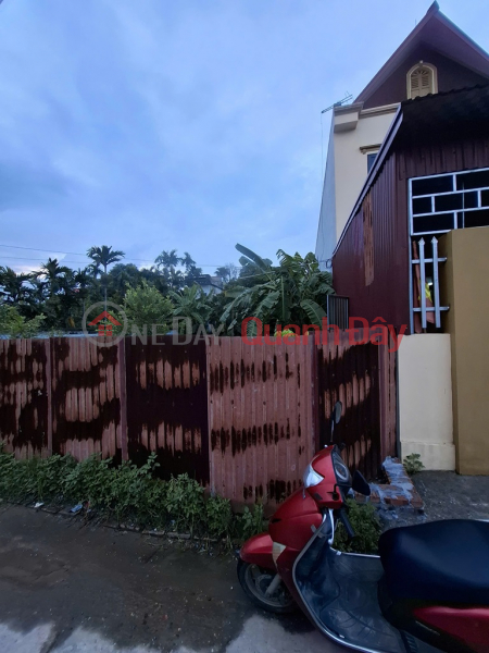 Property Search Vietnam | OneDay | Residential, Sales Listings Land for sale in Dinh Trung Xuan Non, 152m x 7m square, truck access only 4 billion negotiable.