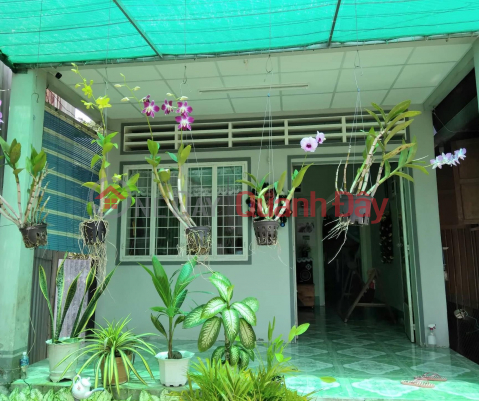 Owner - Good Price - Land for Sale on Tran Hung Dao Street, My Thoi, Long Xuyen City, An Giang _0