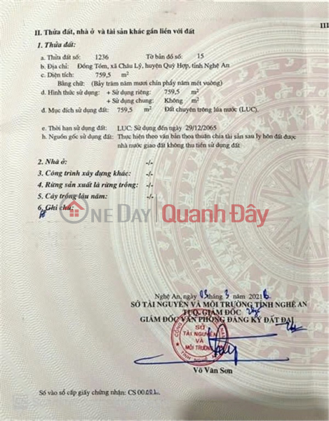 PRIME LAND – INVESTMENT PRICE - OWNER NEEDS TO SELL QUICKLY A PLOT OF LAND IN CHAU LY COMMUNE, QUY HOP DISTRICT, NGHE AN PROVINCE Sales Listings