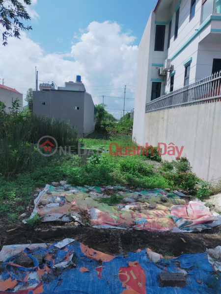Property Search Vietnam | OneDay | Residential Sales Listings | EXTREMELY SHOCKING PRICE! LAND LOT FOR QUICK SALE Prime Location In Me town, Gia Vien district - Ninh Binh province