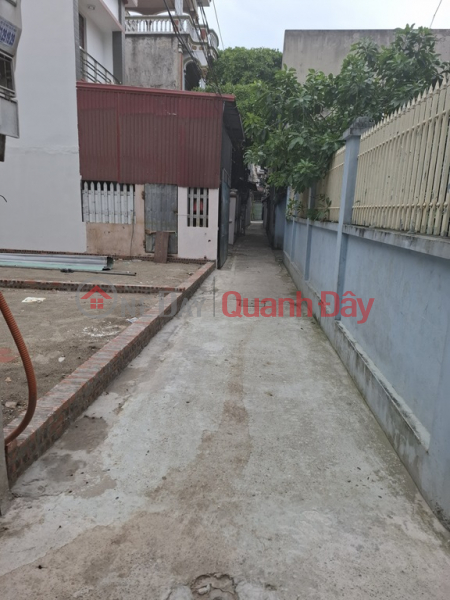 Bán đất Thụy Lâm, 40m x 4m, 30m ra trục chính oto tránh, kd giá nhỉnh 1 tỷ LH: 0936123469 Việt Nam, Bán đ 1,2 tỷ