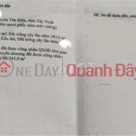 ĐẤT ĐẸP- GIÁ TỐT BÁN NHANH LÔ ĐẤT ĐẦU TƯ LÀ SINH LỜI TẠI huyện Tân Biên, tỉnh Tây Ninh ĐẤT ĐẸP- GIÁ TỐT BÁN NHANH LÔ ĐẤT ĐẦU TƯ LÀ SINH LỜI TẠI huyện Tân Biên, tỉnh Tây Ninh _0